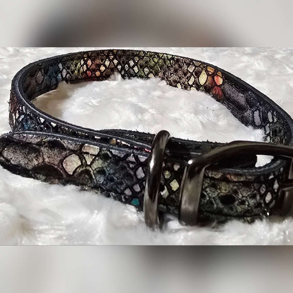 Magic Skin Dragon Scale Dog Collar
